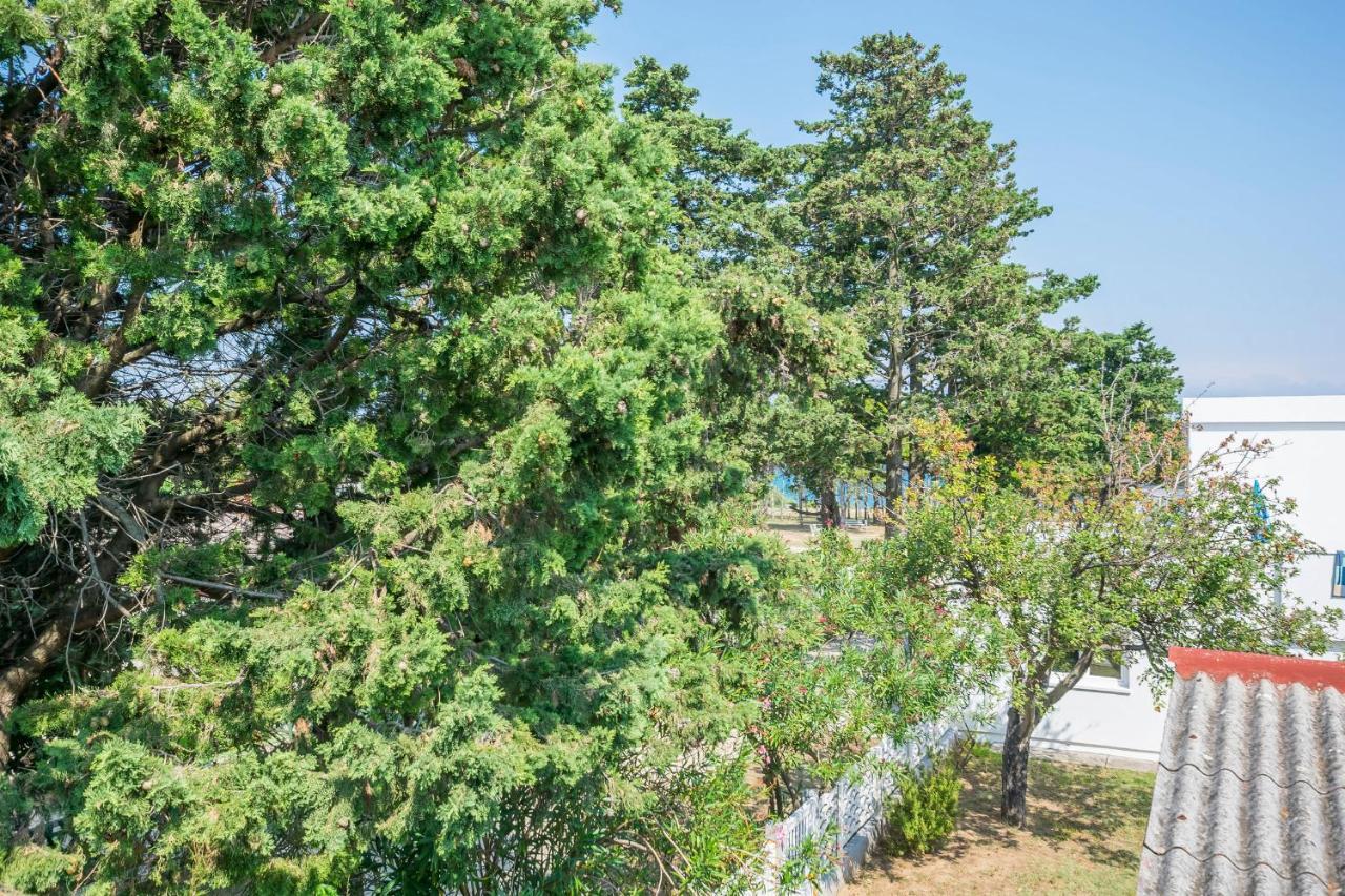 Apartments Mira Привлака Екстериор снимка